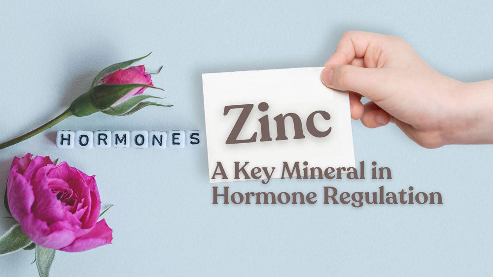Zinc: A Key Mineral in Hormone Regulation